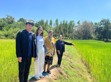 ลงพื้นที่ติดตามการใช้เงินกู้กองทุนสงเคราะห์เกษตรกร พารามิเตอร์รูปภาพ 5